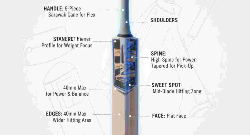 anatomy of a cricket bat structural details