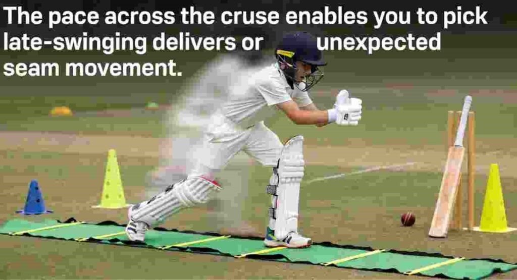 cricket agility ladder drills