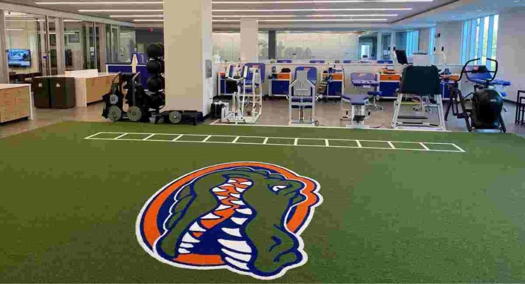 university of florida online sports science degrees